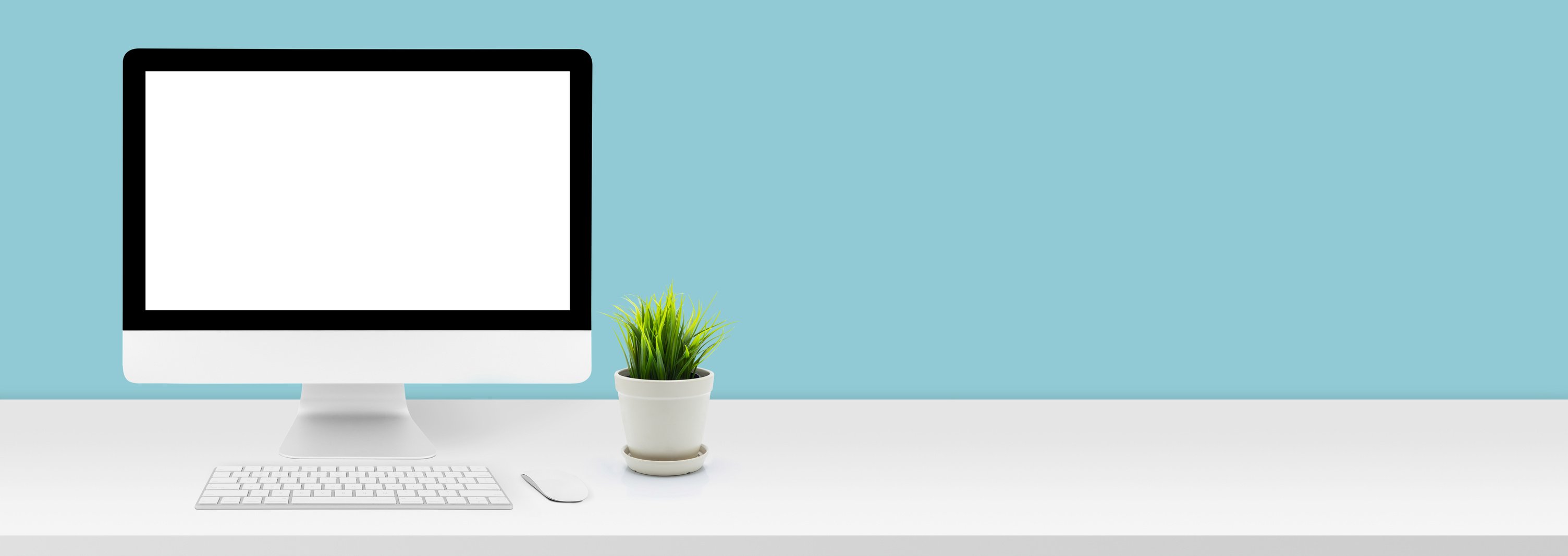 Computer and Potted Plant on a Long Desk 